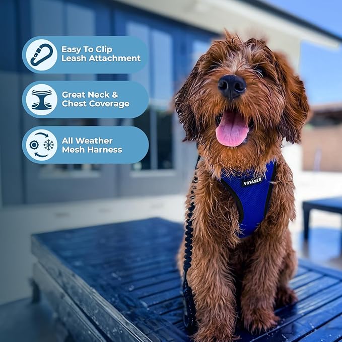 Best Pet Supplies - All Weather Mesh, Reflective, No Pull Harness for Small, Medium Dogs, Cats - Secure with Hook & Loop Fastener, Buckle, Double D-Rings - Royal Blue/Black Trim, XXS