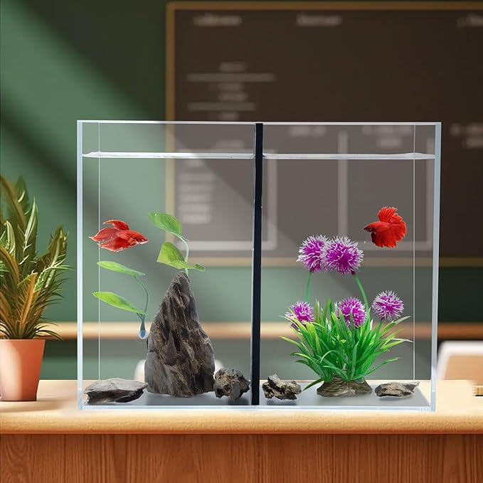 5 Gallon Betta Fish Tank with Divider, Small Aquarium, Fits 2 Bettas, 2.5 Gallon *2 Rooms.(Divider not Removable)