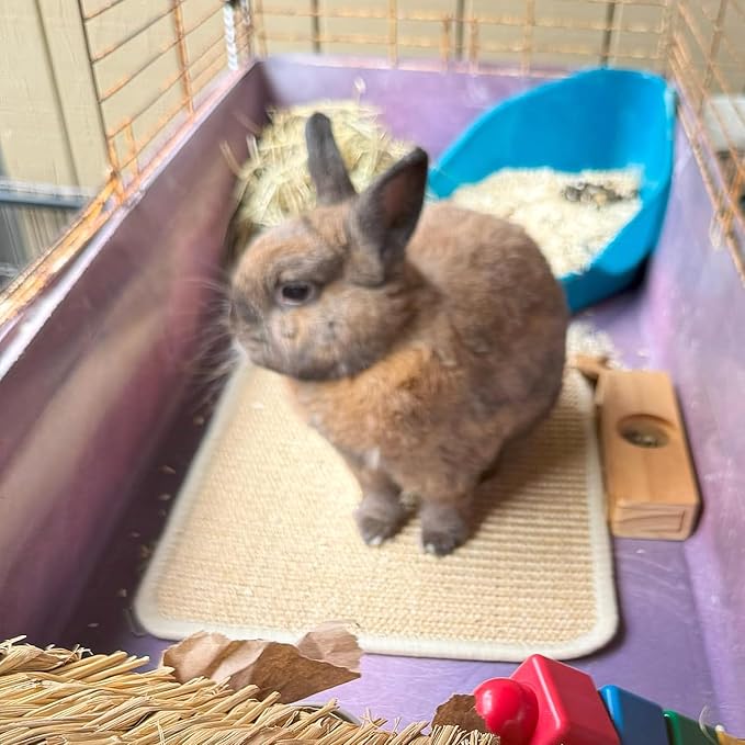 PODOO Bunny Scratch Pads, Sisal Rabbit Scratching Pad, Natural Rabbit Resting Mats for Cages, Forage Grass Mat Indoor Essentials Accessories for Guinea Pig Cat (2Pcs, 23.6 x 15.7 inches)