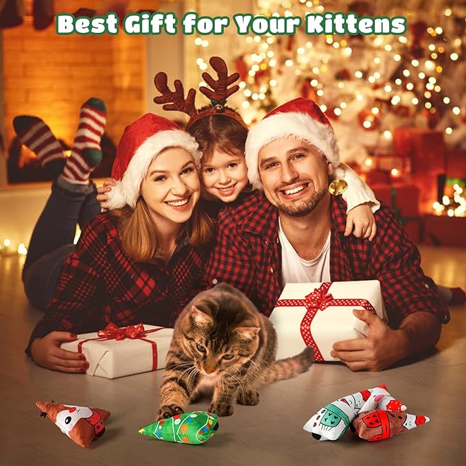 Christmas Catnip Toys Interactive Cats 5PCS Cat Nip Toy/Kitten Chew Plush Gift/Best Play Kick Stuff/Kitty Stuffed Teething Pillow/Cute and Soft Dental Gifts (5 types of Christmas decorations)