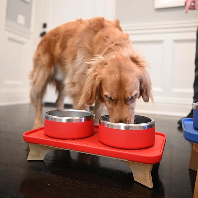 Trot Pets Elevated Dog Bowls | Stainless Steel Raised Bowl Set for Small, Medium, or Large Dogs | Non-Slip Food and Water Slow Feeder | Durable, BPA-Free, Anti-Skid, Dishwasher Safe (Sky, Small)
