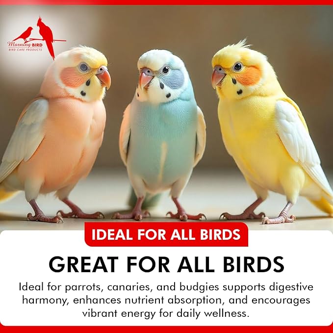 Morning Bird Probiotics for Birds 1 oz– Digestive Health Supplement with Supports Gut Balance, Nutrient Absorption & Immune Support – Easy Mix Powder Supplement for All Bird Species