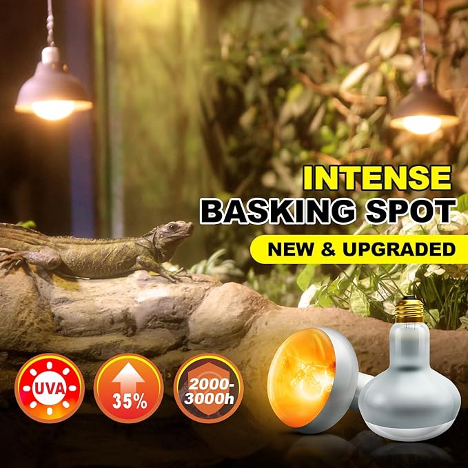 MIXJOY 150W Reptile Heat Lamp Bulb, 2Pack Reptile Basking Spot Light, Upgraded Intense Heat Basking Bulb, UVA Daylight Heat Lamp Bulbs for Reptiles, Bearded Dragon, Lizard, Tortoise, Chicken