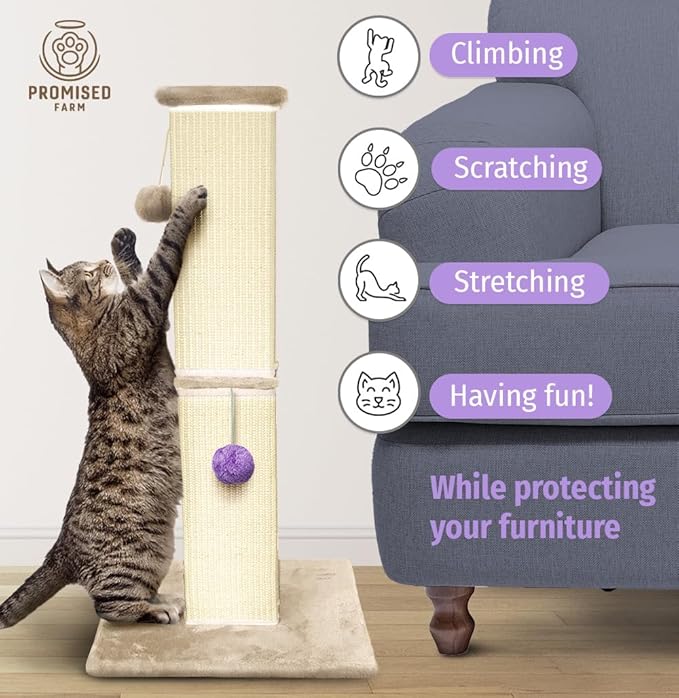 Tall Cat Scratching Post 32 Inches - Protects Furniture - Durable and Sturdy Design - Aesthetic Cat Accessories Essentials