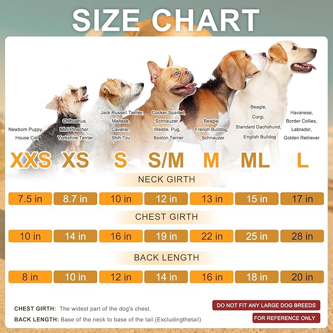 BEAUTYZOO Dog Hoodie for Small Medium Large Dogs, Winter Fall Warm Dog Clothes for Puppy S M Sized Dogs Girl Boy, Dog Sweater Shirt Hoodies with Pocket Bulldog Pitbull Cat Clothing Coat