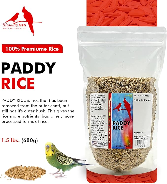 Morning Bird Paddy Rice 1.5 lbs Bird Seed for Optimal Health & Nutritious Pet Bird Food – Supports Feathers & Immunity – Ideal for All Seed Eating Birds.