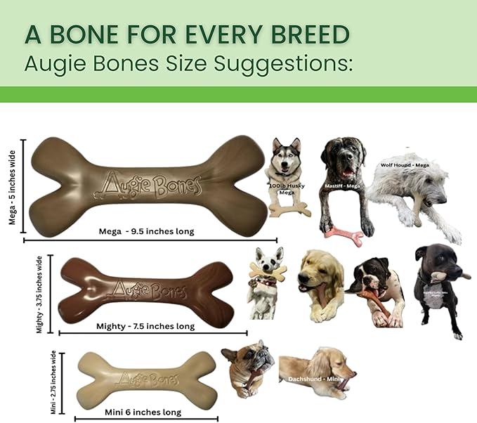 2-Pack Non-Toxic Dog Toys - Sustainable Beef Flavored Dog Chew Toys for Aggressive Chewers - Plant-Based Bioplastic Pet Toys - Made in The USA (Mini)