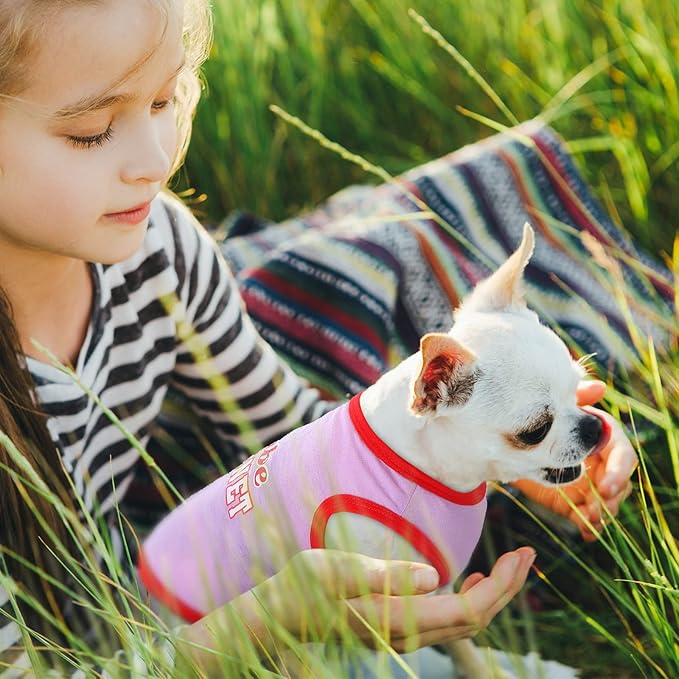 Reginary 8 Pieces Pet Shirts Summer Printed Puppy Dog Shirt Soft Pullover Cute Dog Sweatshirts Puppy Girl Female Clothes Outfits Small Doggie Cats, Size S