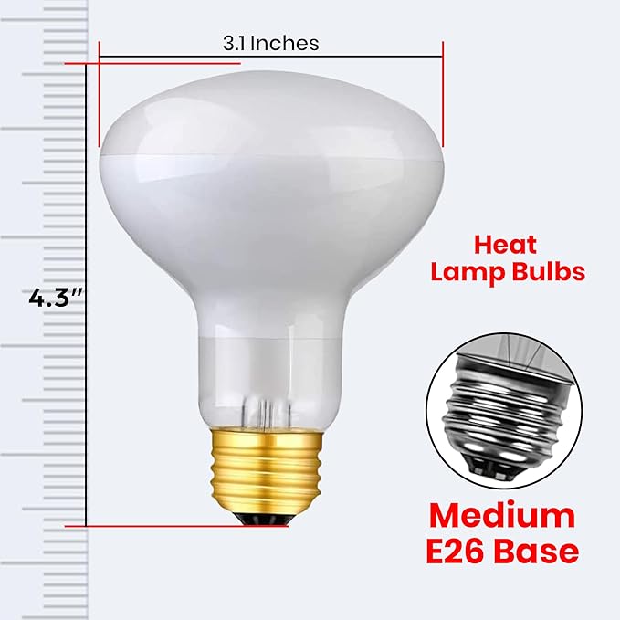 75 Watts UVA Reptile Heat Lamp Bulbs Basking Light for Reptiles and Amphibian, Basking Light for Bearded Dragon, UVA Reptile Light Bulb E26 Base 2 Pack