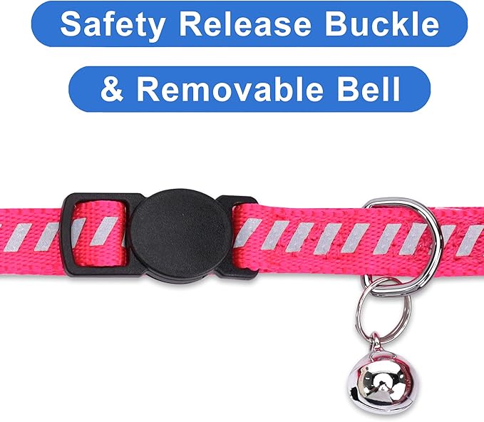 Pawtitas Personalized Cat Collar with Breakaway Safety Release Buckle Adjustable Length