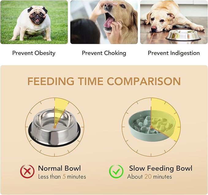 Ceramic Raised Slow Feeder Dog Bowl Set, Elevated 8.2inch Bowl and 9.5inch Slow Pet Food Dish with Wooden Stand for Large Dog (2 x Light Green+ Stand)