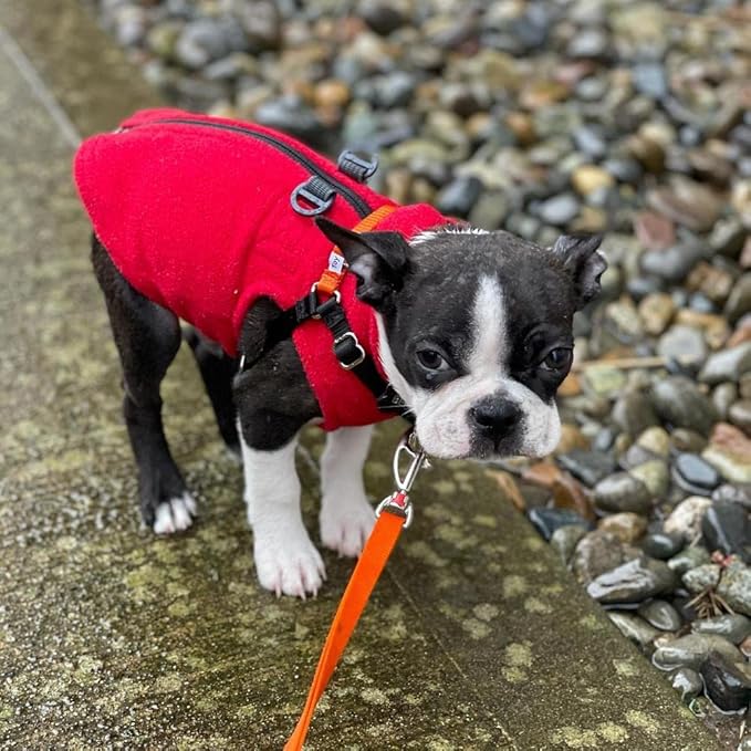 Gooby Zip Up Fleece Dog Sweater - Red, X-Small - Warm Pullover Fleece Step-in Dog Jacket with Dual D Ring Leash - Winter Small Dog Sweater - Dog Clothes for Small Dogs Boy and Medium Dogs