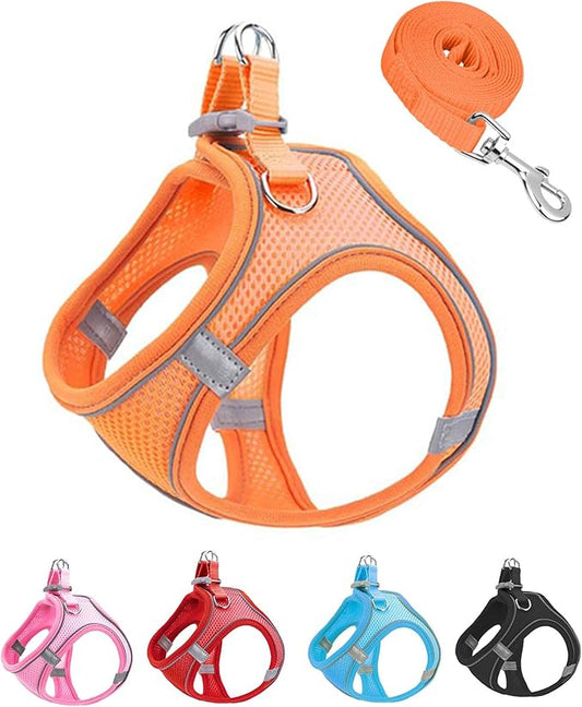 XXXS Orange Soft Mesh Dog Harness and Leash Set,No Escape Puppy Harnesses for Training Walking, Reflective Adjustable Puppy Vest for Small Medium Dogs, Cats (Orange, XXXS)
