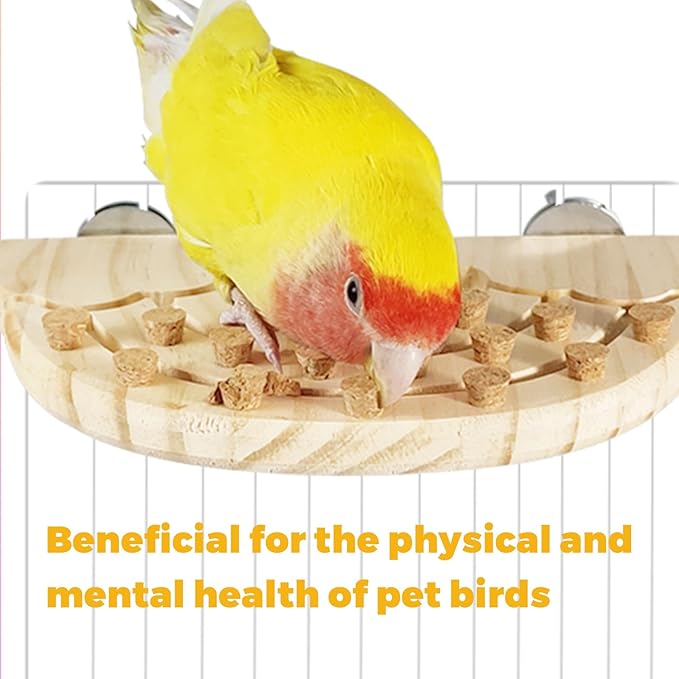 2 Pcs Bird Chew Toy Wooden Foraging Toys,Hanging Wooden Puzzle Foraging,Parrot Cork Stopper Toys Birds Feeding Toy,2 Pcs Bird Cage Food Holder Fruit, for Small and Medium Parrots(G)