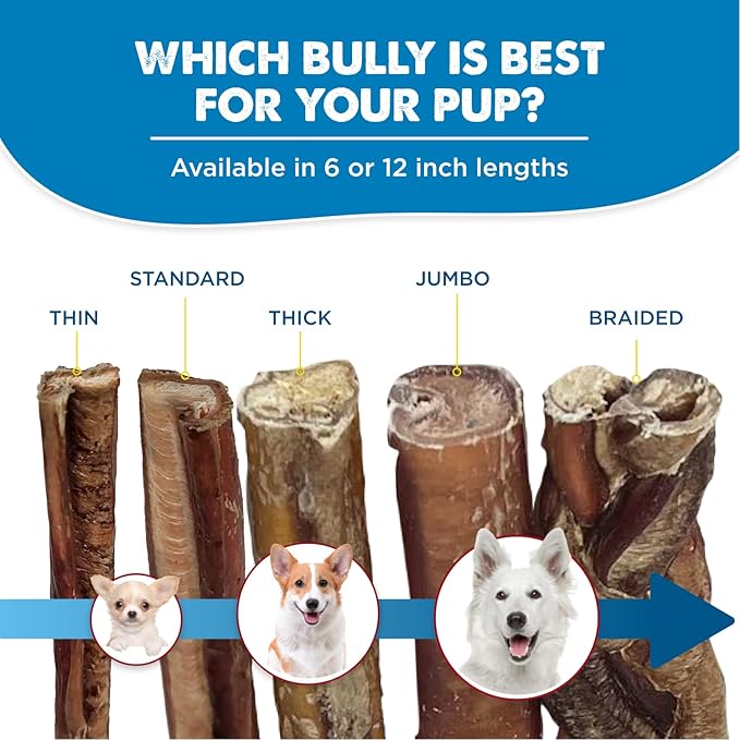 Best Bully Sticks 12 Inch Bully Sticks for Dogs - 3 Count (Pack of 1) - Natural, Easily Digestible, 100% Grass-Fed Beef, Grain and Rawhide Free - Trial Size