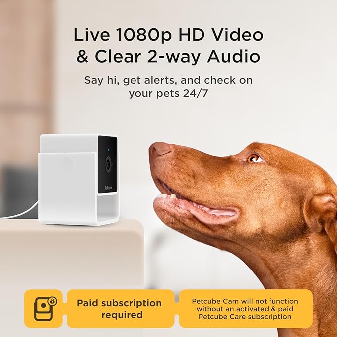 Petcube Security Camera (Cam with Subscription)