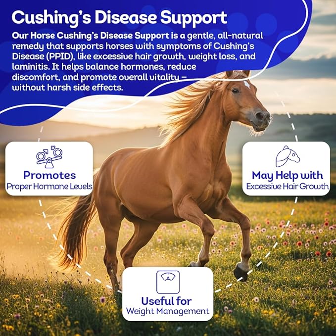 HA4E - Horse Digestive Support for Cushingโs Disease - Preventative Care - Highly Effective, Natural Homeopathic Supplement - Tablets, Barn Size (Extra Large)