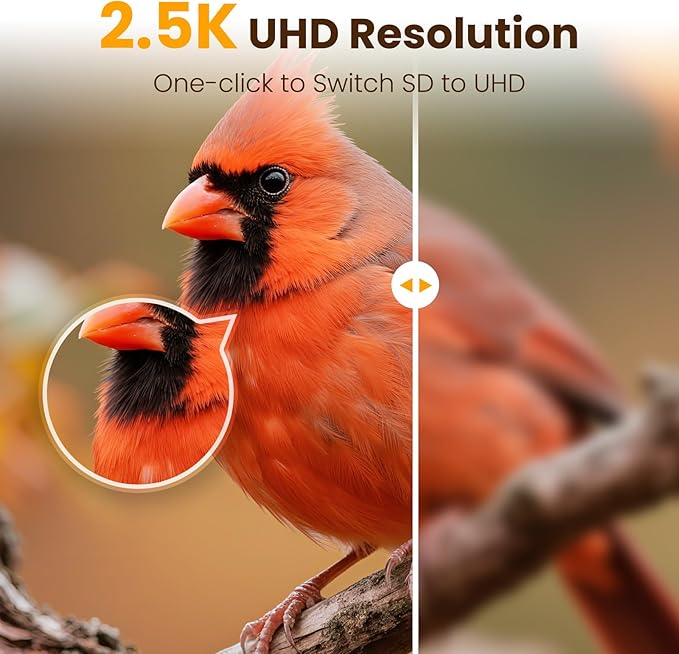 Smart Bird Feeder with Camera,Premium Bamboo Birdfeeder,2.5K UHD Bird Camera AI Identifies, Real-time Bird's Videos & Pictures, Solar Powered Wireless Outdoor, Ideal Present for Parent