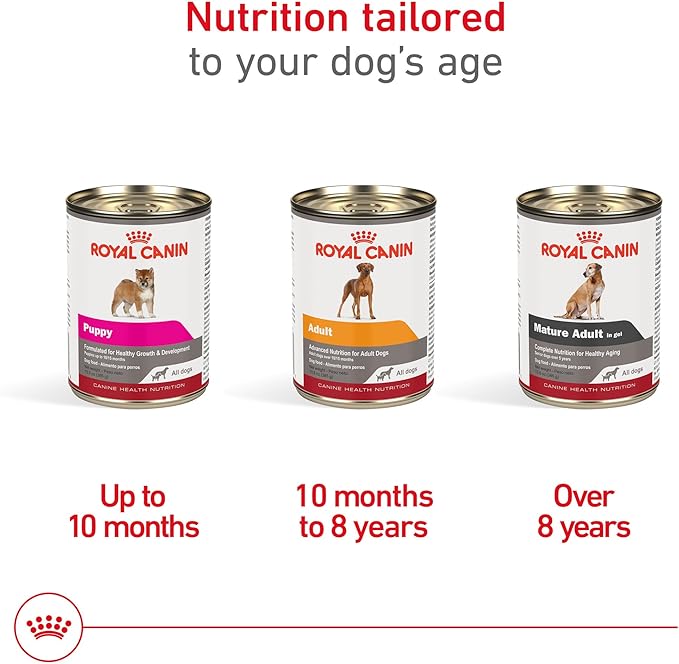 Royal Canin Canine Health Nutrition Adult In Gel Canned Dog Food, 13.5 oz can(Pack of 12)