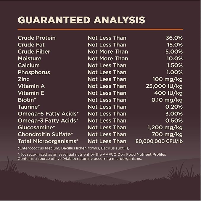 Wellness CORE Natural Grain-Free Small Breed Turkey & Chicken Dry Dog Food for Adult Dogs, High-Protein, USA-Made with Real Meat, 12-Pound Bag