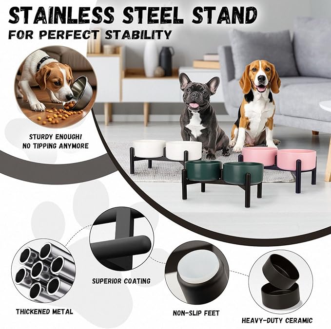 Raised Ceramic Dog Bowl Set - Elevated Double Dishes with Stainless Steel Stand - Food and Water Bowls for Small to Medium Dogs - Each Holds 2 Cups (28.75 fl oz) - Grey