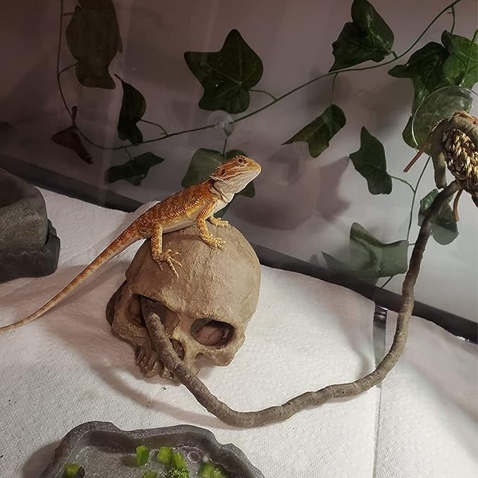 kathson Bearded Dragon Terrarium Skull Decoration, Reptile Tank Habitat Resin Human Skulls Hide Cave Hanging Vines Plants Accessories for Lizards Tortoise Chameleon Spider Reptiles Amphibians(4 PCS)