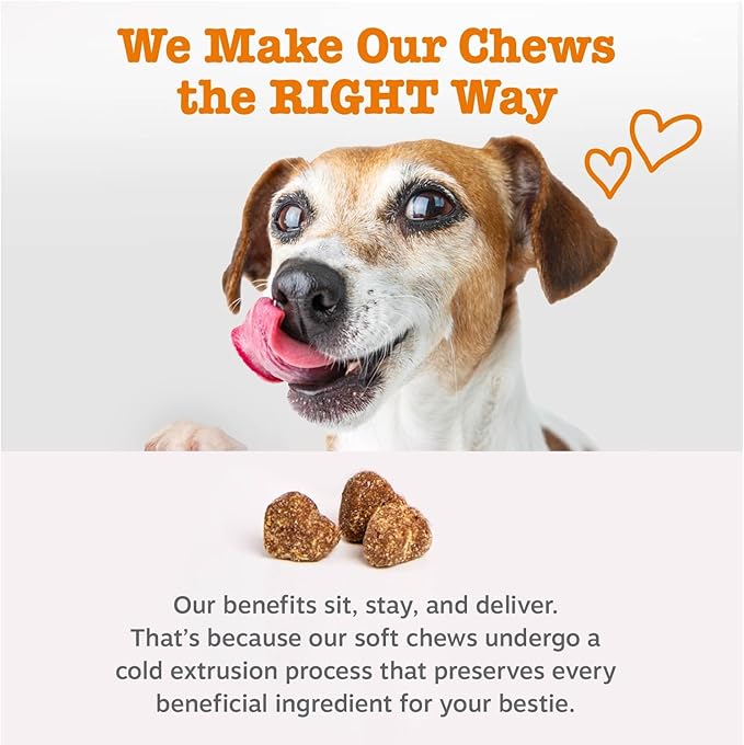 Zesty Paws Omega 3 Fish Oil for Dogs - Zesty Paw Dog Vitamins and Supplements for Hip, Joint & Skin, Chicken (250 Chews)