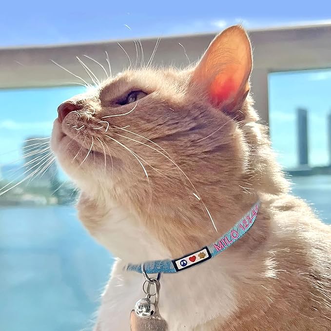 Pawtitas Personalized Cat Collar With Breakaway Safety Release Buckle Adjustable Length