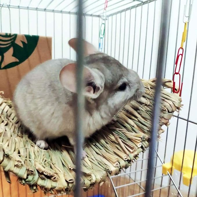kathson 6 PCS Rabbit Large Grass Mat Natural Grass Woven Mat Rabbits Chew Toys Hay Bedding Nest for Small Animal Bunny Rabbit Guinea Pigs Hamster Chinchillas Puppy Biddy Sleeping Chewing