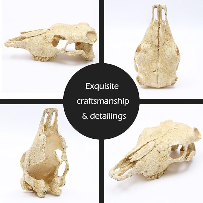 Aquarium Skull Dรฉcor Fish Hideout Cave Decorations Betta Tarantula Reptile Snake for Terrarium Ornament Dinosaur Animal Large Bones Halloween