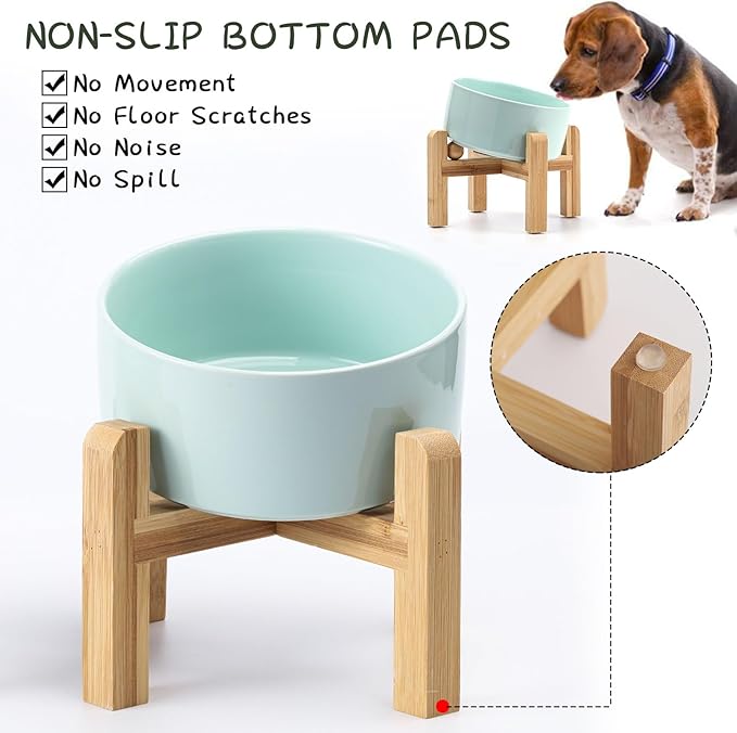Petygooing Raised/Elevated 15°Slanted Ceramic Dog Bowl for Small Breeds,Tilted Anti Slip Pet Bowl,Food Water Dish with Stand for Cats and Small Dogs Puppy 13.5 OZ (5.1In / 1.7 Cups) Blue Sky