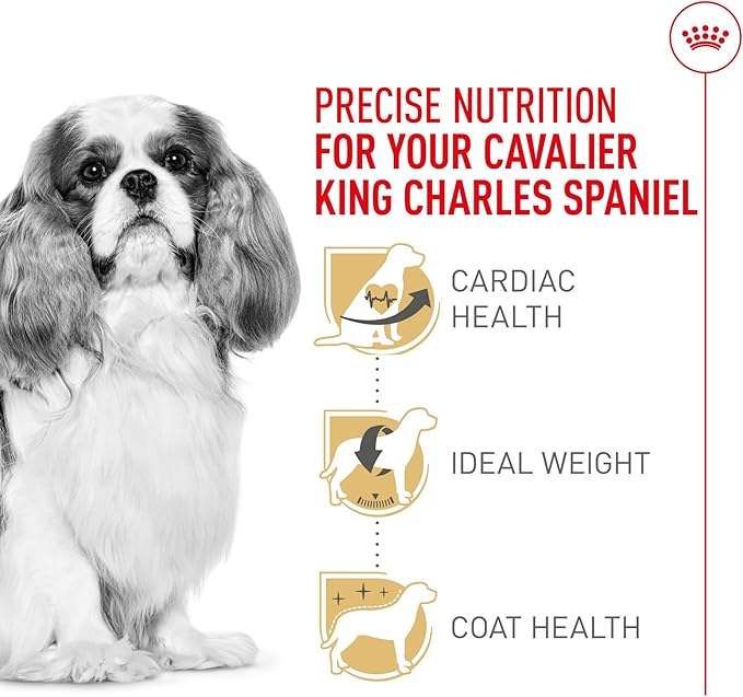 Royal Canin Cavalier King Charles Spaniel Adult Breed Specific Dry Dog Food, 10 lb bag