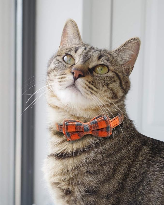 Joytale Upgraded Cat Collar with Bells, Breakaway Cat Collars with Bow Tie, 1 Pack Girl Boy Safety Plaid Kitten Collars, Orange