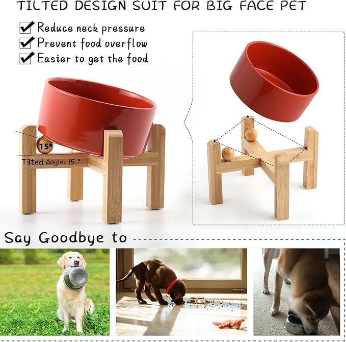Petygooing Raised/Elevated 15°Slanted Ceramic Dog Bowl for Small Breeds,Tilted Anti Slip Pet Feeding Bowl,Food Water Dish with Stand for Cats and Small Dogs Puppy 13.5 OZ (5.1In / 1.7 Cups) Rust Red