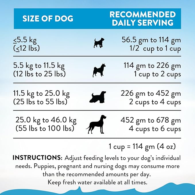 Addiction Salmon Bleu Grain-Free Dry Dog Food - Rich in Prebiotics to Support Skin, Coat & Cognitive Health - Salmon Recipe for All Dog Life Stages - Made in New Zealand 4 lb