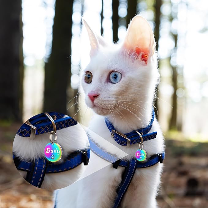 Dog Tags Personalized for Pets - YEHANTI Personalized Dog Tags with Dog Paw, Durable Stainless Steel Pet ID Tags for Small Large Dogs Cats, Custom Dog Name Tags Engraved on Both Sides (Round)