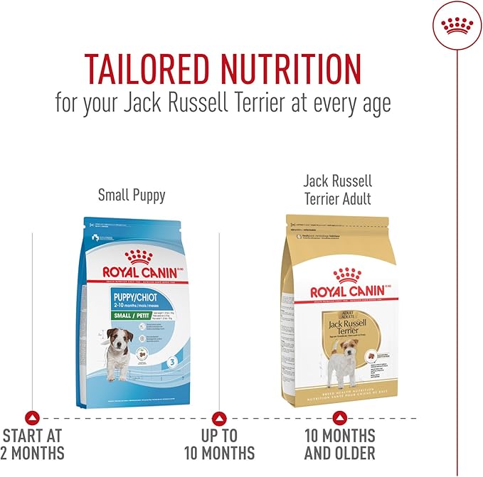 Royal Canin Jack Russell Terrier Adult Dry Dog Food, 10 lb bag