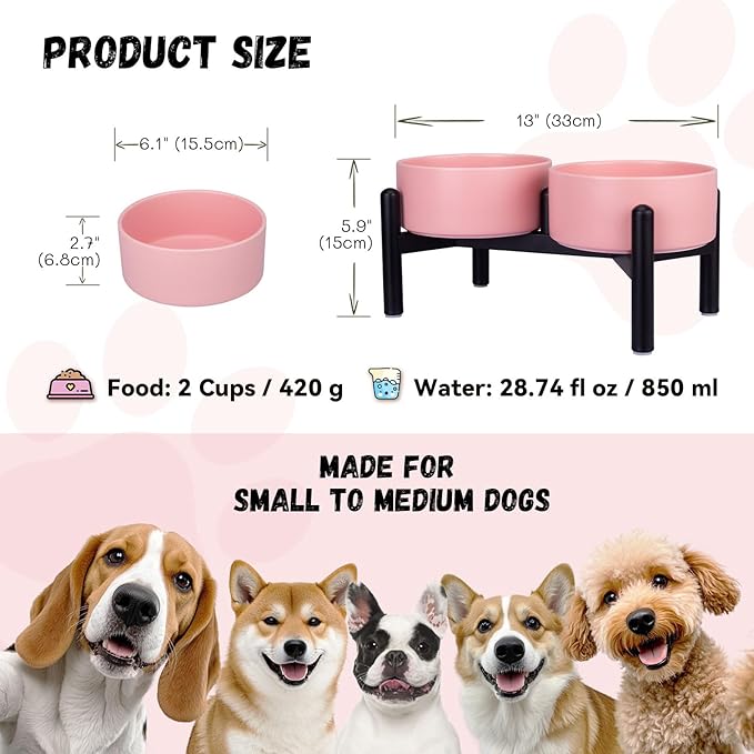 Raised Ceramic Dog Bowl Set - Elevated Double Dishes with Stainless Steel Stand - Food and Water Bowls for Small to Medium Dogs - Each Holds 2 Cups (28.75 fl oz) - Pink