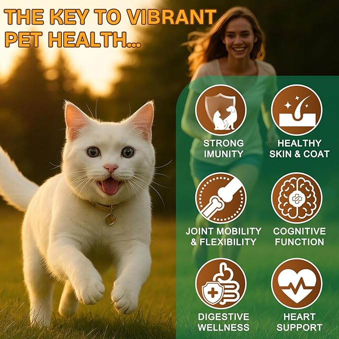 Mushroom Supplement Powder for Dogs & Cats, 11 Beneficial Mushroom Complex for Immune Support, Cellular Protection, Heart & Brain Health Lion's Mane, Reishi & Turkey Tail, Bacon Flavor - 120g