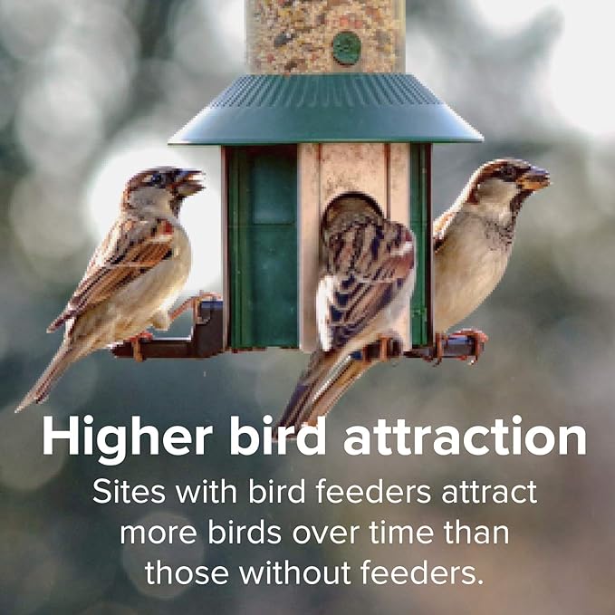 Blue Seal Neat Feast Wild Bird Seed | Attracts Wide Variety of Wild Outside Birds | Seed for Outside Feeder | Convenient Shell-Free Mix | Made in USA | 8 Pound Bag