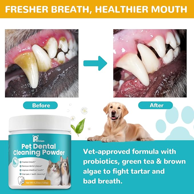 Dog Teeth Cleaning Powder, Dog Dental Powder for Teeth Cleaning and Dog Breath Fresh, Bad Breath Fresher & Tartar Remover with Enzyme, Probiotics. Plaque Off Pet Tooth Cleaning 120 Grams 60 Servings