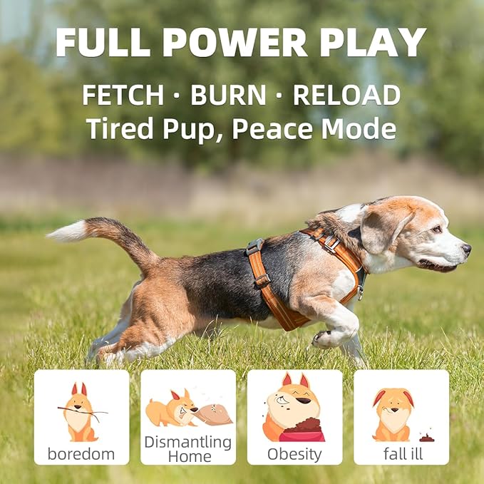 AutoDog Ball Launcher - Large Silent Dog Ball Thrower with Remote Control, 3 Adjustable Distances (40t/60ft/80ft), Rechargable,Includes 6 Durable 2.5" Balls for Medium/Large Dogs (Silver grey, Large)