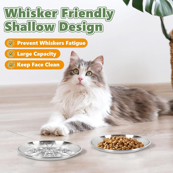 2-Pack Stainless Steel Cat Food Bowls – Shallow Whisker-Friendly Non-Slip Silicone Base,Easy to Clean Indoor Feeding Dishes(13 OZ,6.7")