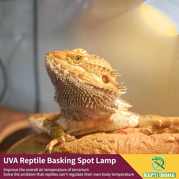 150W Reptile Heat Lamp Bulb 2 Pack,Basking Spot Lamp Bulb for Reptiles & Amphibians,Reptile Daylight Heat Bulb for Bearded Dragon, Lizard, Turtle