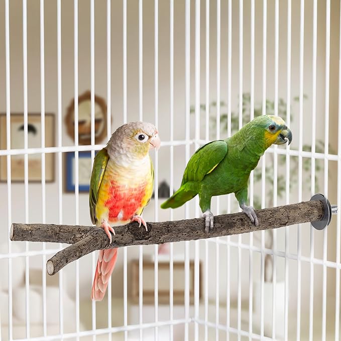 Niteangel Natural Wooden Perches for Bird Cages - Ideal for Cockatiels, Parakeets, Finches & Other Caged Birds (Natural Bark, 2 Pack)
