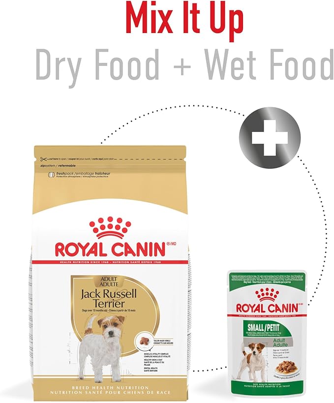 Royal Canin Jack Russell Terrier Adult Dry Dog Food, 10 lb bag