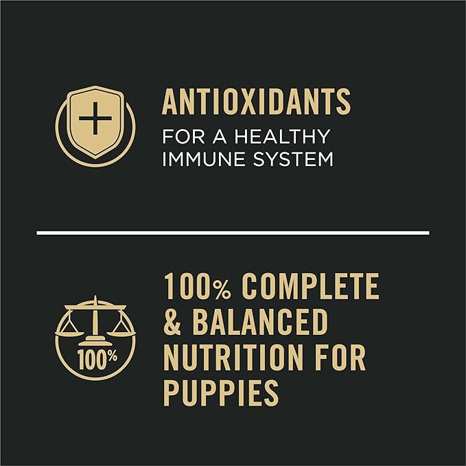 Purina Pro Plan Sport High Protein Wet Puppy Food Beef and Rice Entree and Chicken and Rice Entree Variety Pack - (Pack of 12) 13 oz. Cans