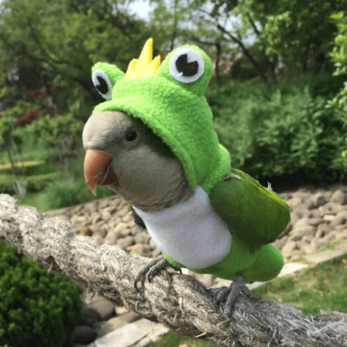 Bird Diaper Flight Suit Frog Shape Hoodie Clothes Cosplay Photo Prop for Parrots Parakeet Cockatiel Sun Conure, Small Animals Apparel (Green With Diaper, Medium)