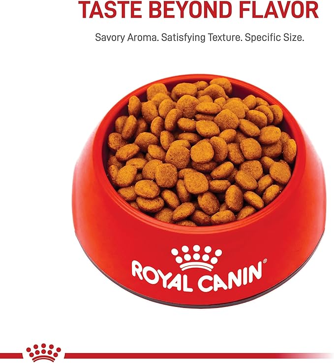 Royal Canin Cavalier King Charles Spaniel Adult Breed Specific Dry Dog Food, 10 lb bag