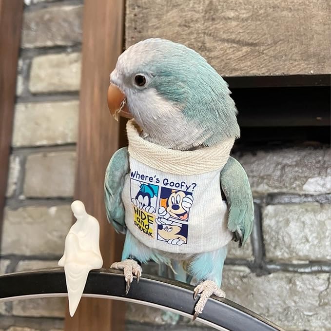 Bird Costume Diaper Flight Suit Frog Shape Hoodie Clothes Cosplay Photo Prop for Parrots Parakeet Cockatiel Sun Conure, Small Animals Apparel (White Without Hat, Large) (BPF1)